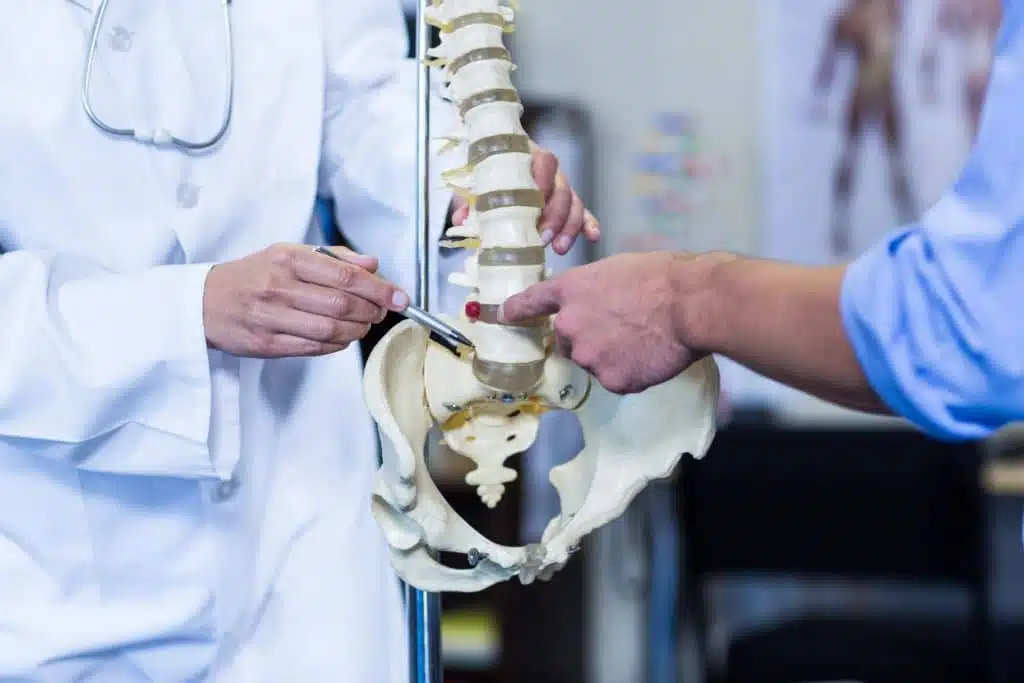 Two medical professionals holding the spine of a skeleton replica